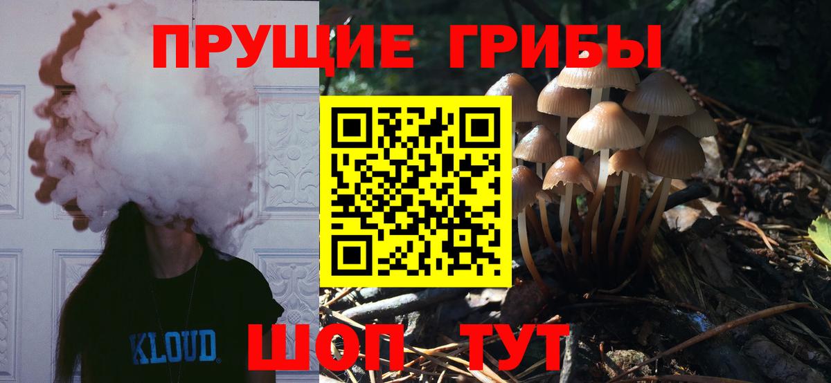 Псилоцибиновые грибы мицелий  Вход с VPN  Галлюциногенные грибы прущие грибы  Грозный 